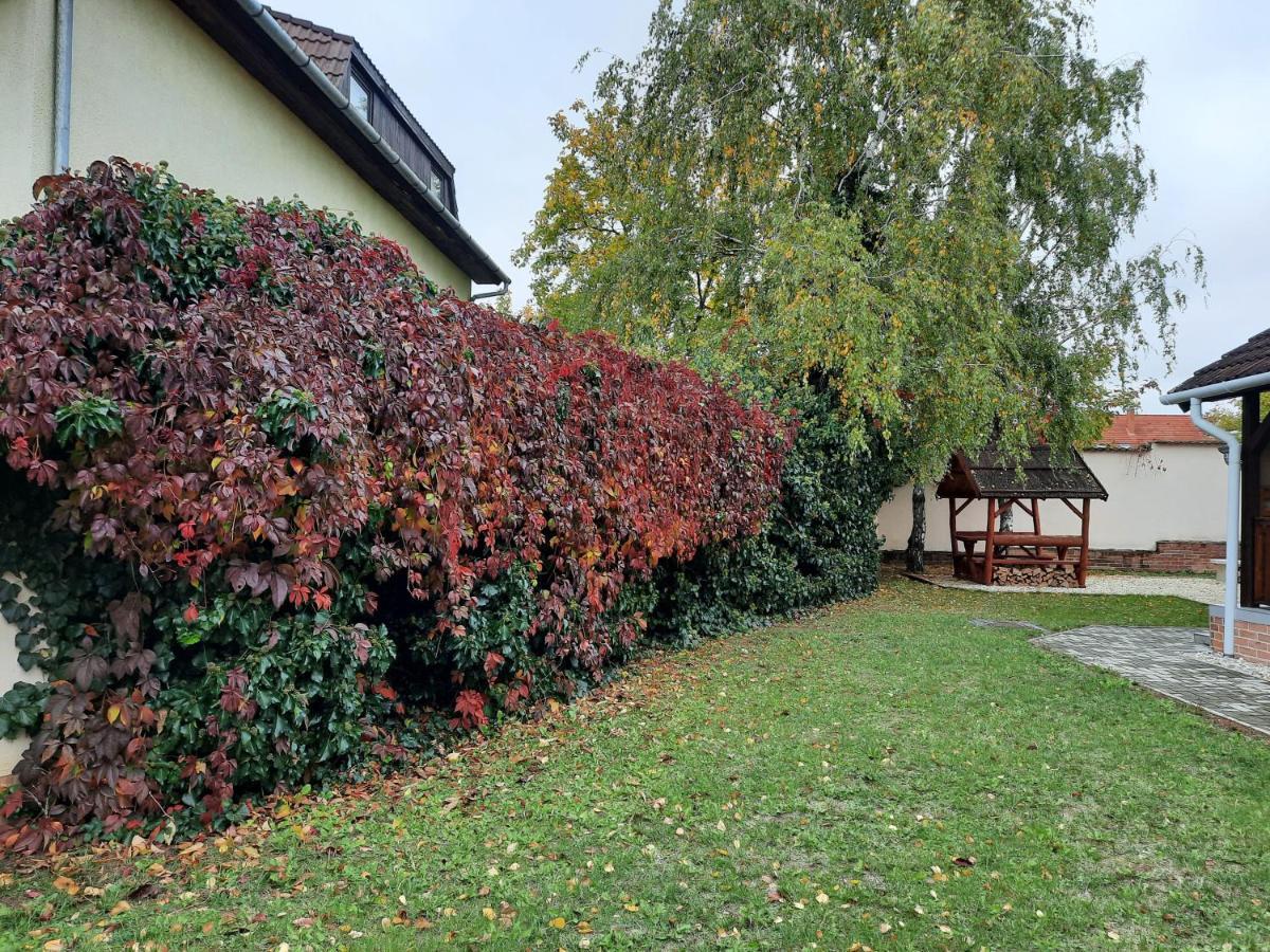 Livia Apartman Hévíz Exteriér fotografie